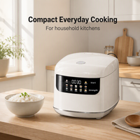 Mini cuiseur à riz intelligent 2L multifonctionnel pour la maison, tasse à mesurer électrique, compatible européenne