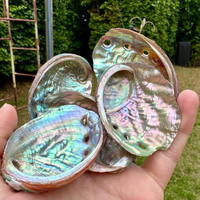 Vente en gros de bols en cristal de guérison de haute qualité, bols en coquille d'ormeau naturelle pour la décoration de la maison et les cadeaux de la Saint-Valentin