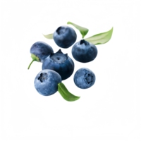 Bubuk Buah Blueberry OEM Kemasan Kustom Tersedia Alami Spray-Dried
