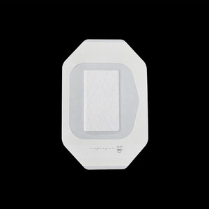 Apósito para Heridas de Película de PU Transparente, Impermeable y Esterilizado de Fabricación China con Almohadilla Absorbente para el Cuidado de Heridas - Product Image 5