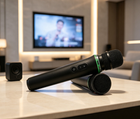 Microphone sans fil portable 2,4 GHz Plug & Play avec récepteur audio pour KTV et soirées – Système de microphone sans fil