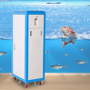Concentrateur d'oxygène professionnel de 20 litres avec compresseur haute pression 150bar, essentiel pour l'alimentation en oxygène centrale de l'hôpital - Product Image 3