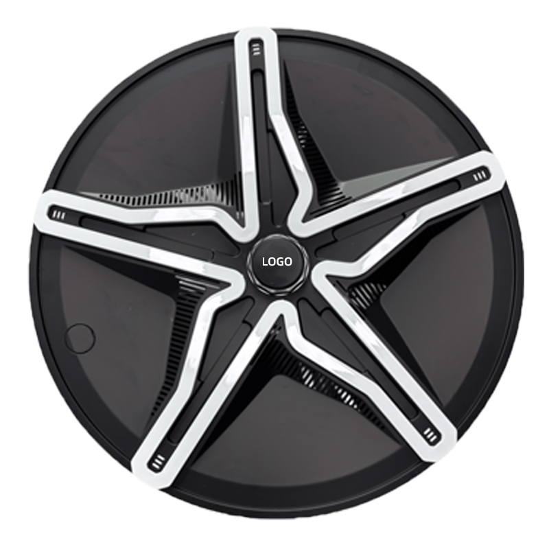 2019-2025 Model Y (19-inch Wheels) with matte Black and White