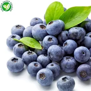 Frozen IQF Blueberry liar organik tanpa dijahit pembeku massal segar dipilih pujian harga grosir sehat alami