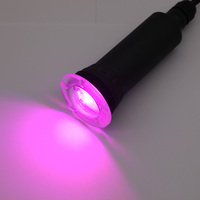 Lumière LED pour piscine et spa miniature de remplacement Pentair Globrite, ABS CE DC 12V, blanche, jardin, IP68