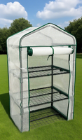 Serre de jardin portable pour plantes, serre de protection des plantes pour l'extérieur et la cour arrière