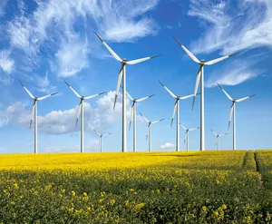 Sistema Eólico Fuera de la Red de Alta Potencia de 200KW, Generador Eólico de Alta Potencia con Controlador para Granjas Industriales a Gran Escala OE-WT P - Product Image 5