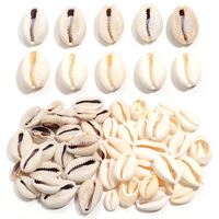 Vente en gros pas cher 40 g/sac de perles de pierres précieuses naturelles peintes d'ormeau de mer cauri perles de coquille pour la fabrication de bijoux Bracelet collier