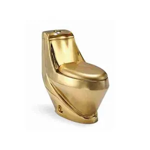 Canada bathroom s trap gold toilet