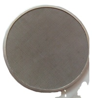 Ukuran lingkaran kustom persegi polos menenun 304 316 316L kawat baja antikarat mesh layar cakram filter