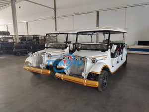 Auto Elettrica Classica di Design Bianco a 3 File e 11 Posti con Carrozzeria Grande, Marca TIANSHU, Certificata CE, Produttore Cinese - Product Image 6