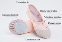 E5015 sepatu dansa balerina fleksibel, sepatu balet anak-anak merah muda warna-warni datar terpisah