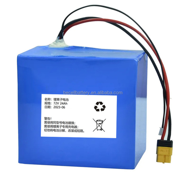 Customised 12V 24V 36V 48V 60V 72V 10Ah 15Ah 20Ah 30ah 40ah Lithium Ion Battery Pack for E-bike Electric Tools Vehicle
