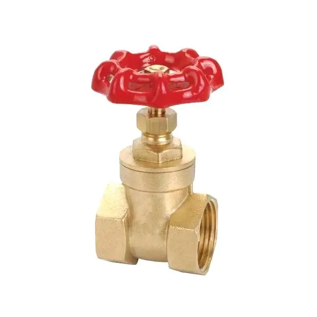 Brass Van cổng nữ chủ đề cơ thể dài Đồng Van cổng với giá cả