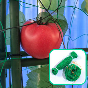 Malla de Soporte para Plantas Trepadoras de HDPE de 2*100m 18cm*18cm, Malla de Enrejado para Tomates, Pepinos y Frijoles, Suministro de Fábrica - Product Image 4