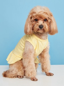 Pakaian Hewan Peliharaan Desain Baru 2026, Baju Anjing Katun Musim Panas yang Bernapas, Pakaian Fashion - Product Image 3