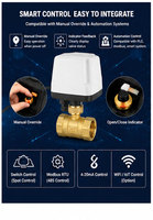 Válvula de Bola Motorizada YAOYANG DC12V/24V DN20 PN16 de Latón de 2 Vías, Bajo Voltaje, Alta Temperatura, IP65 Impermeable, con Certificación CE