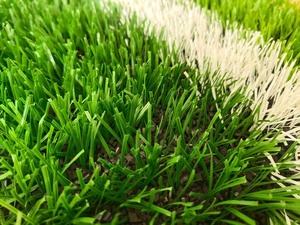 Césped artificial de fútbol hecho en China, <span class=keywords><strong>precio</strong></span> de fábrica - Product Image 6