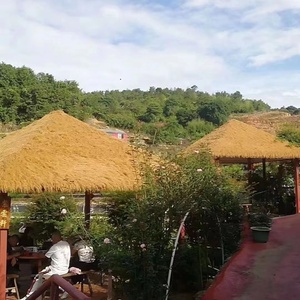 <strong>Thatch</strong> - Product Image 5