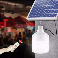 Ampoule solaire étanche IP65 rechargeable pour jardin, utilisation extérieure/intérieure d'urgence, lumière blanche 6000K, 100 lumens, petite taille