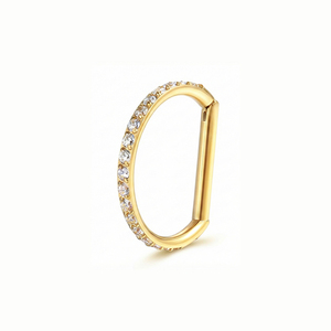 Hochwertige DIY Großhandels-Mode G23 Titan D-Form Zirkonia Nasenpiercing Ohrknorpel-Piercings Schmuck - Product Image 2