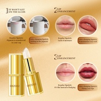 Großhandel Kundenspezifischer Veganer Farbwechselnder Lipgloss & Lippenstift Nicht Klebend Feuchtigkeitsspendend Wasserfest Langanhaltend Transparent