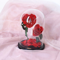 Vente en gros de roses, dôme en verre, fleur préservée, dôme en verre rose, cadeaux de saint-valentin, rose conservée dans une boîte cadeau en verre