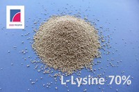 L-Lysine Sulfate/Sulfate 70% Qualité Alimentaire Acides Aminés Additifs Alimentaires pour Animaux en Poudre