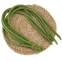 Modèles de légumes artificiels réalistes en gros pour la décoration de la maison, de la cuisine, des hôtels, des restaurants et des supermarchés