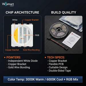 Bande <span class=keywords><strong>LED</strong></span> RGBW 4-en-1 DC 12V/24V, 60/96 <span class=keywords><strong>LED</strong></span>/m SMD5050, CRI 90+ Blanc Pur, Ruban Flexible à Changement de Couleur RGB, PCB 12mm - Product Image 5