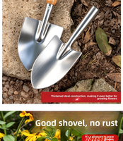 Petite pelle à fleurs en acier inoxydable avec manche en bois, outil de jardinage, ensemble pour jardin en pot