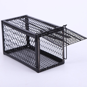 Piège à souris réutilisable en fer, cage à rats, piège à rongeurs pour usage domestique - Product Image 1