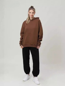 Sudadera con Capucha de Color Sólido para Mujer, Venta al Por Mayor, Ropa de Calle para Otoño e Invierno, Marca Privada Personalizada - Product Image 2