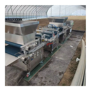 Semoir à légumes de haute précision - Fonctionnement pneumatique pour la culture de <span class=keywords><strong>semis</strong></span> en <span class=keywords><strong>serre</strong></span> - Product Image 3