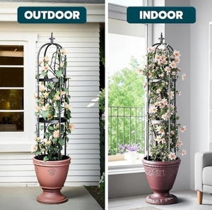 Plantes grimpantes au design moderne <span class=keywords><strong>Support</strong></span> vertical Plantes grimpantes <span class=keywords><strong>Arche</strong></span> de jardin pour l'extérieur et l'intérieur - Product Image 6