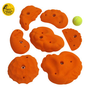 Matériaux de haute qualité en gros, tels que des prises d'escalade lumineuses et en fibre de verre pour adultes, Speed Earth Tones - Product Image 6