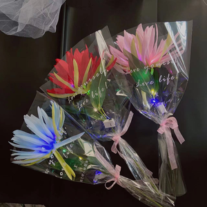 Nouveau jouet lumineux Epiphyllum qui brille dans le noir, best-seller transfrontalier, ajoute une ambiance élégante - Product Image 1