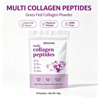 Poudre de protéines multi-collagène à marque privée OEM avec biotine et vitamine C – Compléments beauté pour adultes pour la croissance de la peau et des cheveux