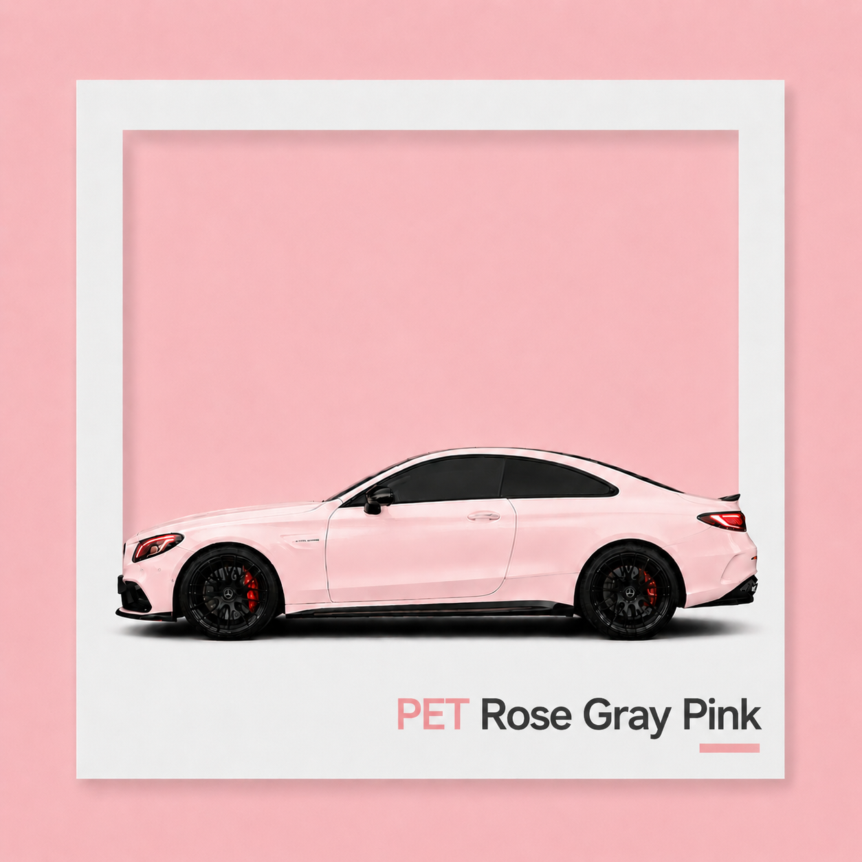 Rose Gris Rose