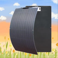 100W 12V panneaux solaires flexibles Longi cellule solaire pour bateau voiture Rv moto panneau solaire de haute qualité 100W panneaux solaires mono