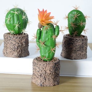 Phòng Trang Trí Nội Thất Lớn Nhân Tạo Chậu Cây Xương Rồng Cây Cọ - Product Image 2