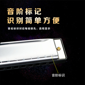 Armónica de Blues Feifan de 10 Orificios en Do Mayor, Color Plateado, para Niños, Estudiantes y Principiantes, Instrumento Musical - Product Image 5