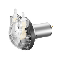 Pompe péristaltique miniature PENGPU P240BL 12V/24V, tube BPT résistant à la corrosion, 500 ml/min, vitesse réglable, moteur CC sans balais, pompe à liquide