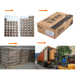 מתג לחצן ABS 20A 1NO1NC 22 מ\\\"מ עם נעילה, תאורה מלאה, ראש שטוח 10A, IP65 עם מגנט - Product Image 5