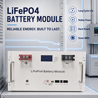 Batterie LiFePO4 murale 5,12 kWh 51,2 V 100 Ah avec BMS et accessoires solaires, vente en gros en vrac