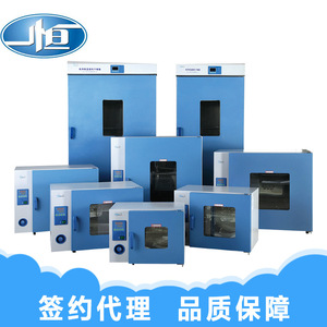 Horno de Secado por Aire Forzado Shanghai Yiheng DHG 9140A, Equipo de Secado Industrial de Laboratorio con Temperatura Constante - Product Image 2