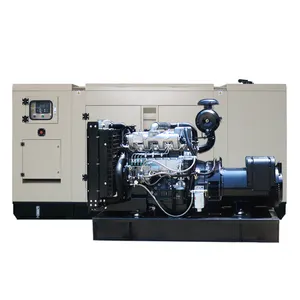 Generatore Diesel silenzioso vendita calda 50kw 80kw 100kw 120kw 160kw 190kw 200kw 250kw gruppi elettrogeni diesel