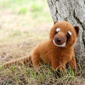 Peluche de <span class=keywords><strong>Mapache</strong></span> Sudamericano, Serie de Animales, Súper Suave, Alivio del Estrés, Bordado, Relleno de Algodón PP, Excelente Decoración de Zoológico - Product Image 3