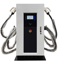 Chargeur de stockage solaire DC à DC Station de charge de voiture EV 30-60kw double support de sol Chargeur EV
