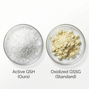 Direktional Fermentierte Hochwertige Essbare Hefe-Strainen Glutathion Antioxidans Leber-Schutz Immunregulation - Product Image 2